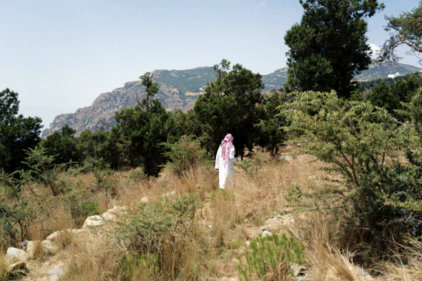Read 'From the peaks above to the palms below'