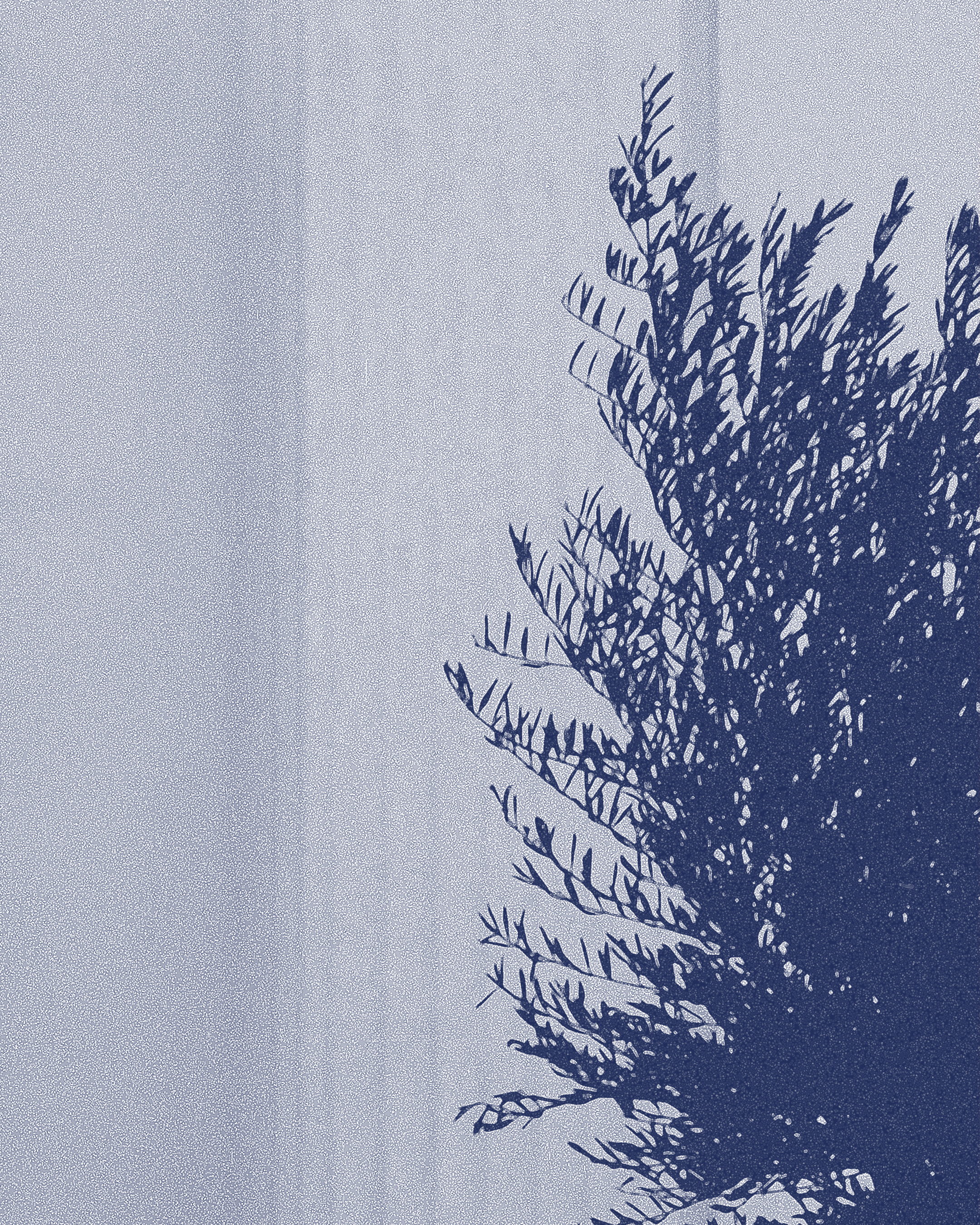 Read '6. The Organisation: On Governance and Structure'