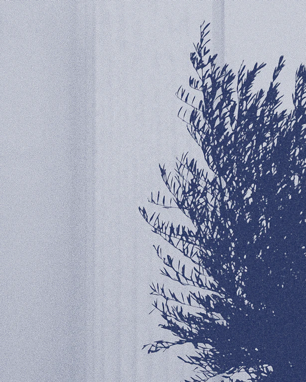 Read '6. The Organisation: On Governance and Structure'
