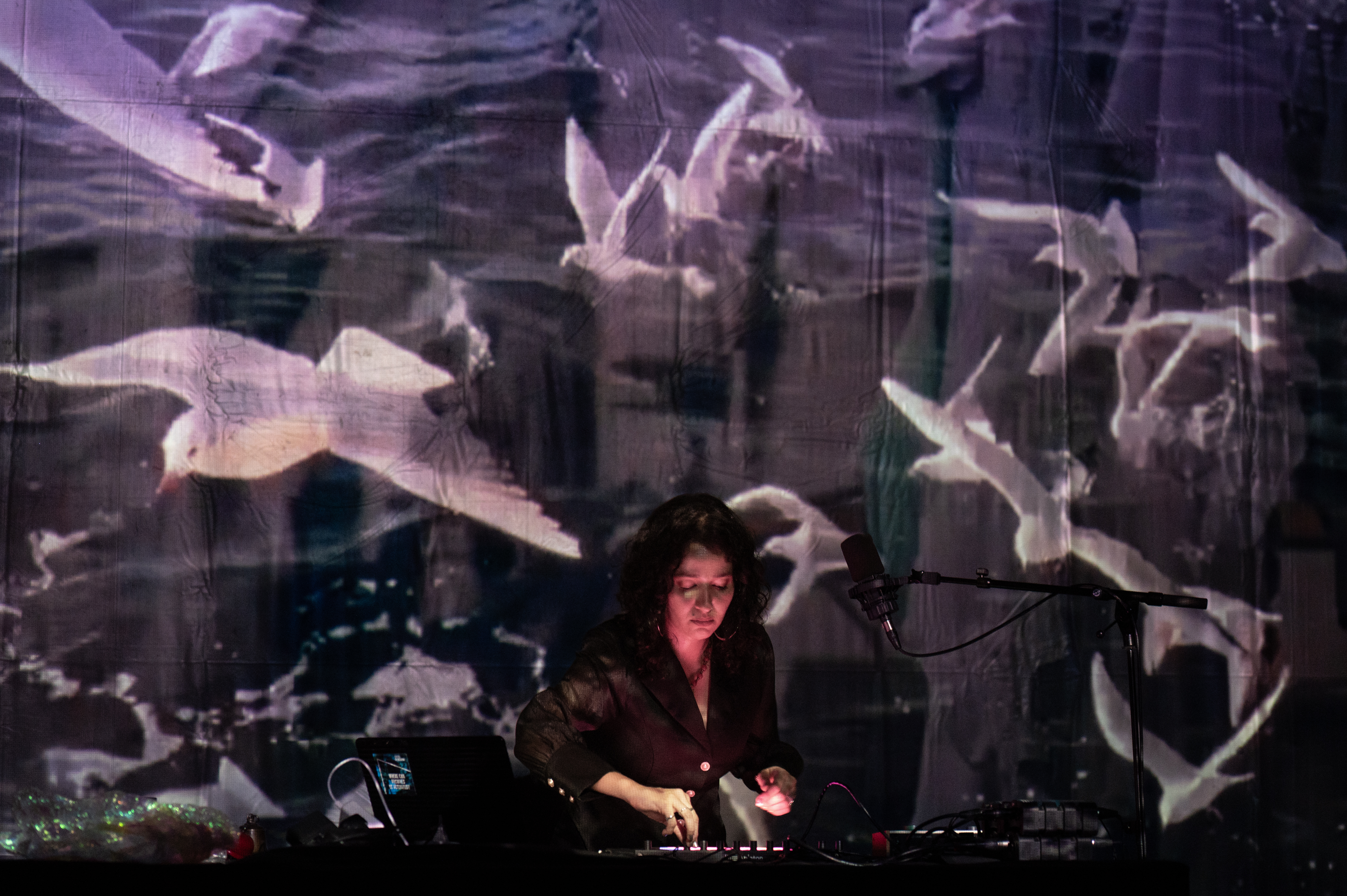 Read 'Beirut Birds'
