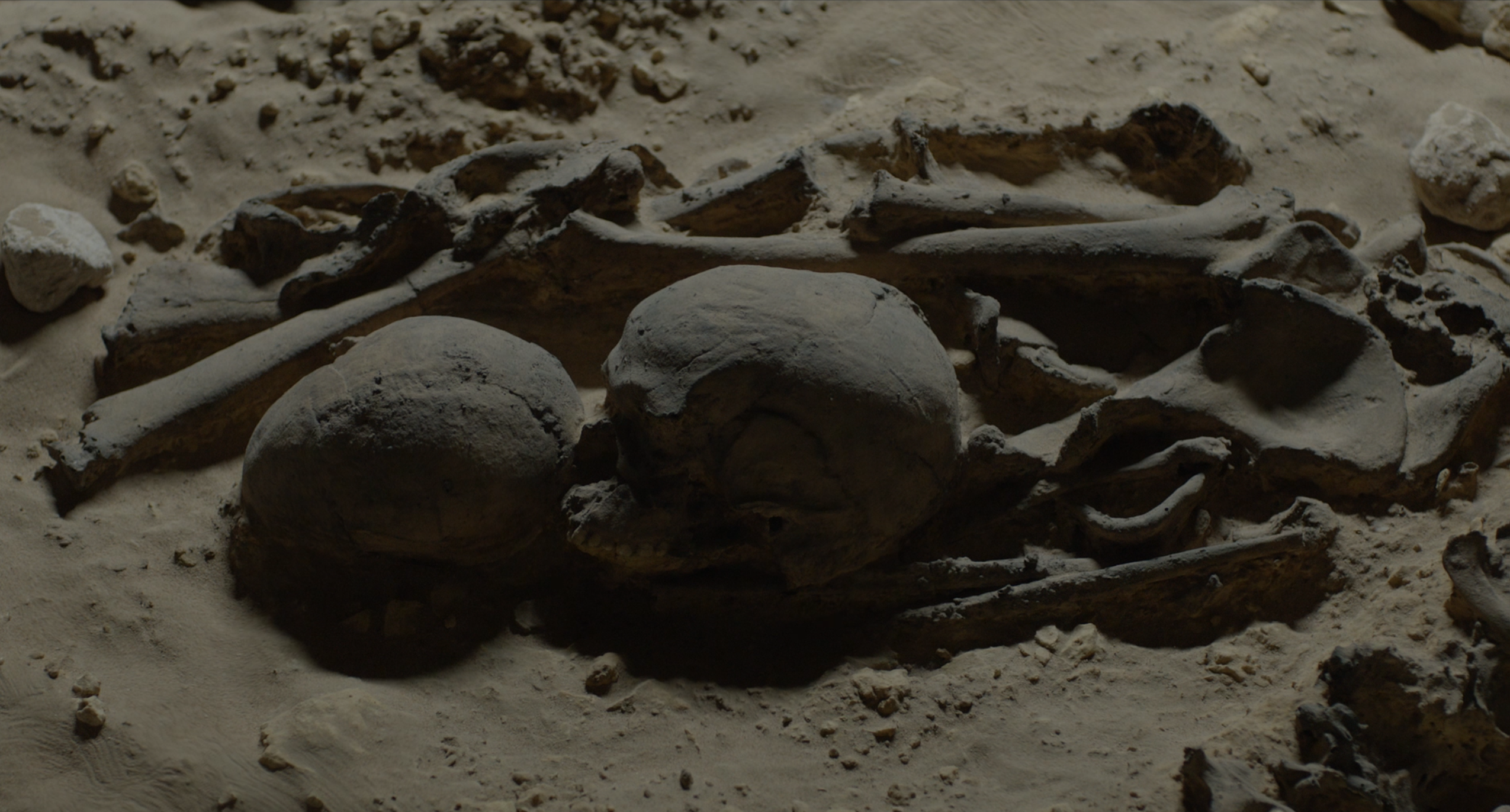 Read 'Scenes of Erasure – Part II: Remains'