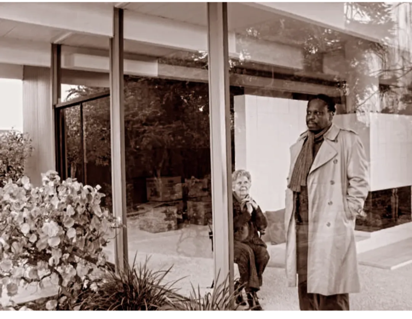 Read 'Library Transmission: Suburban Fury'