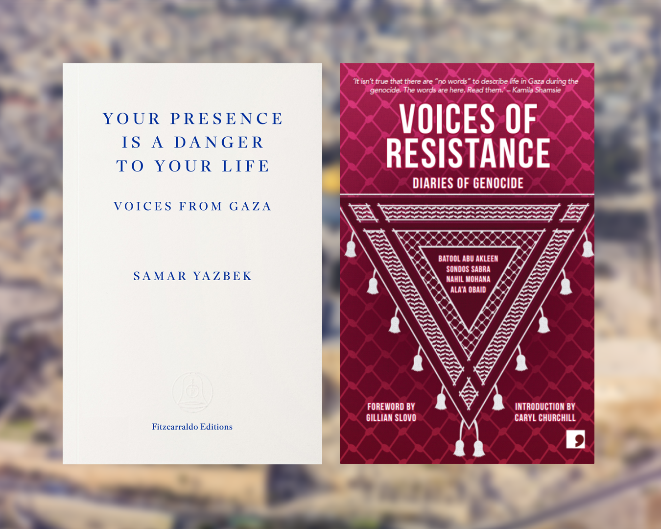Read 'Literature Against Erasure'