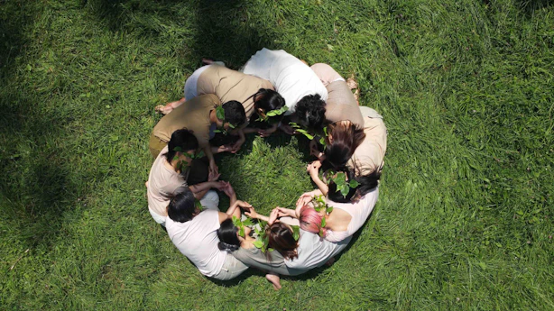 Read 'Thinking Collectives'