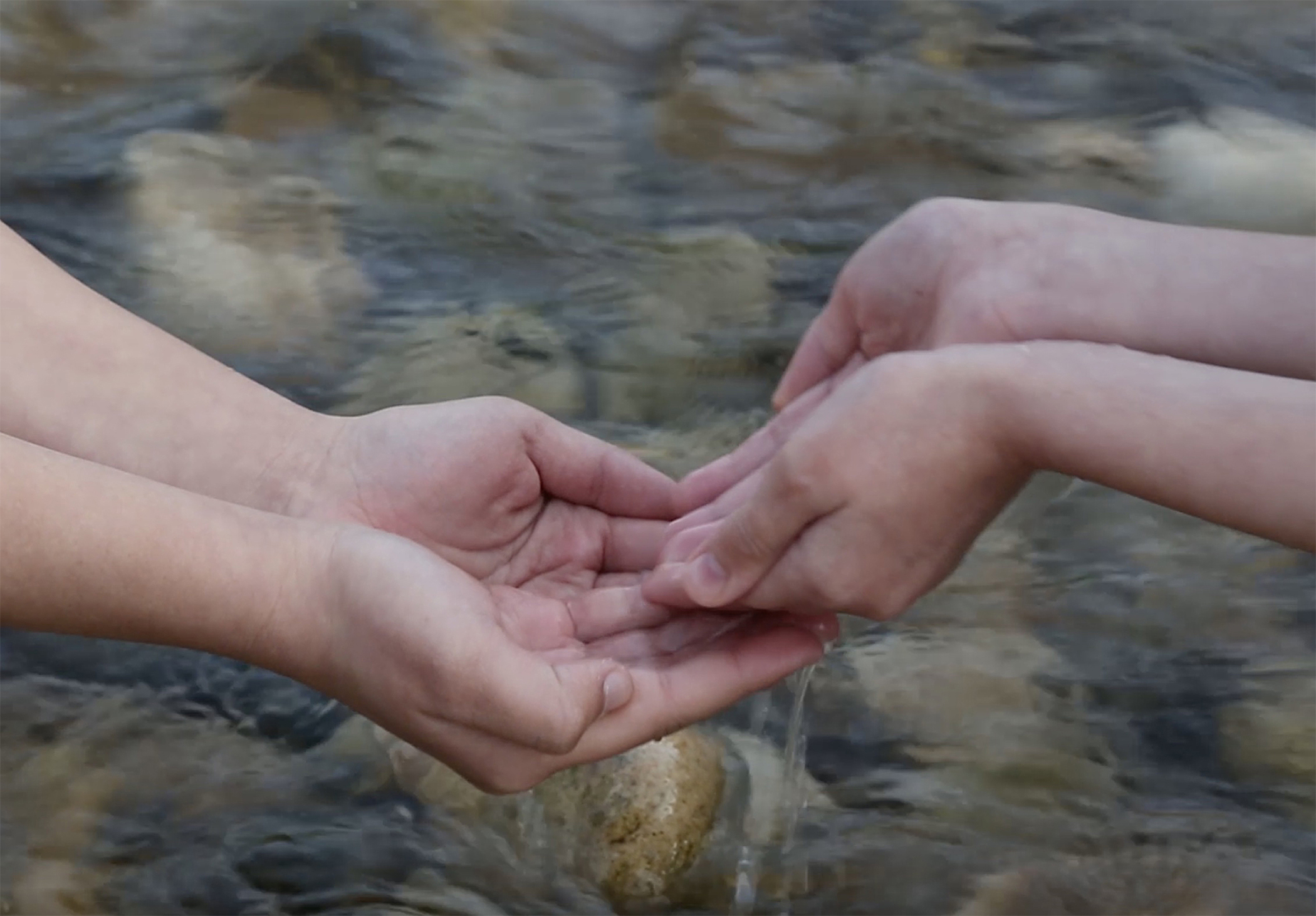 Read 'Thinking with Water in Palestine'