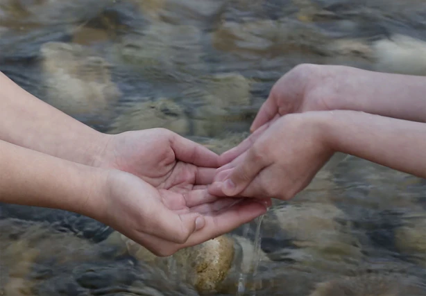 Read 'Thinking with Water in Palestine'