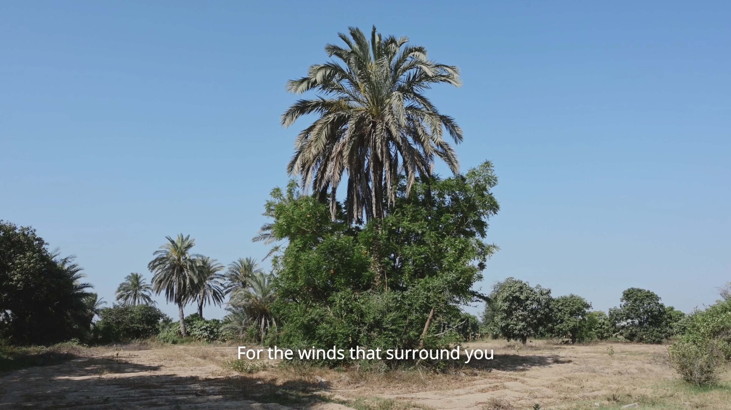 Read 'Wildfire II'